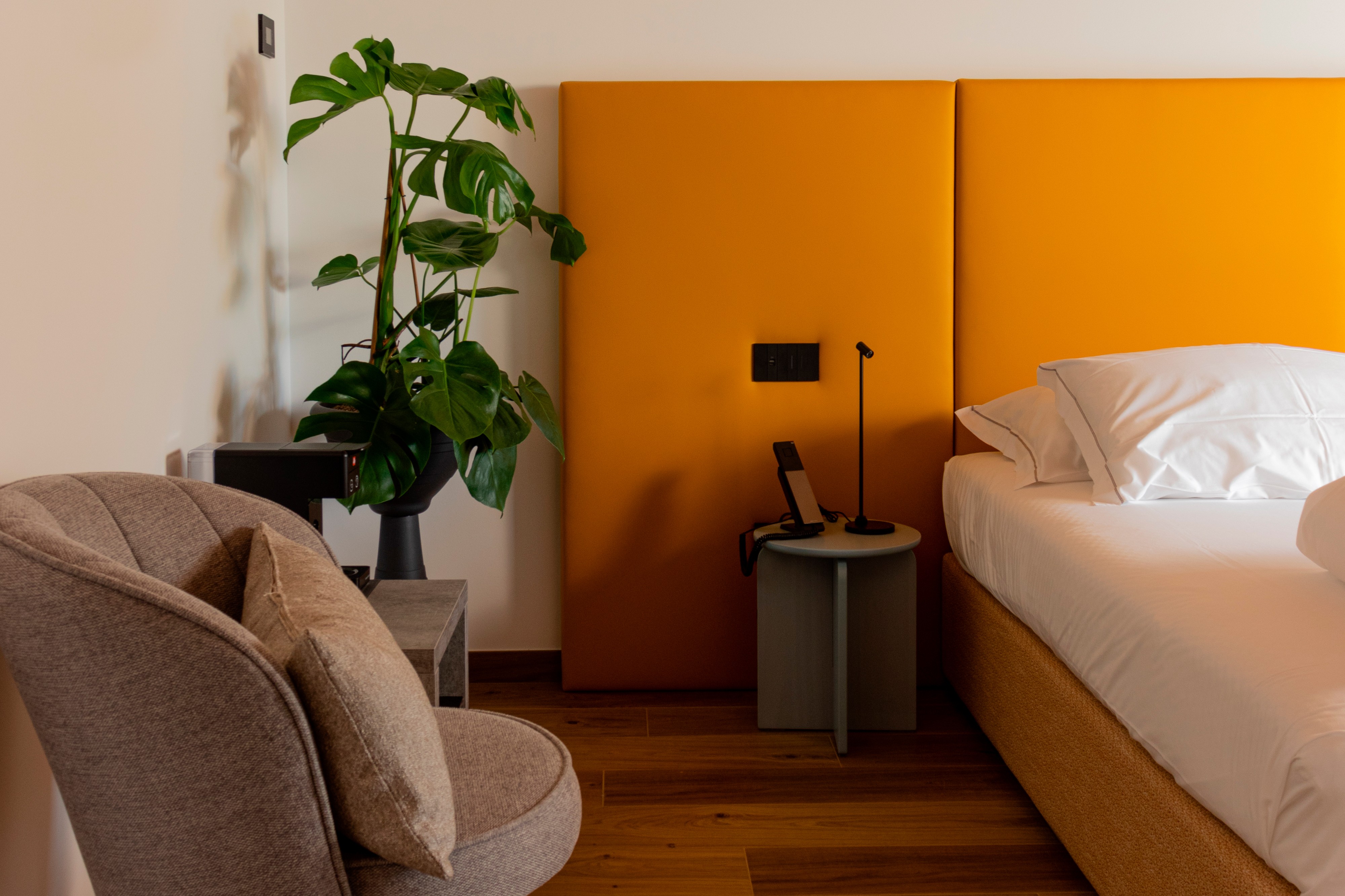 Foto aggiuntiva della camera Rugiada