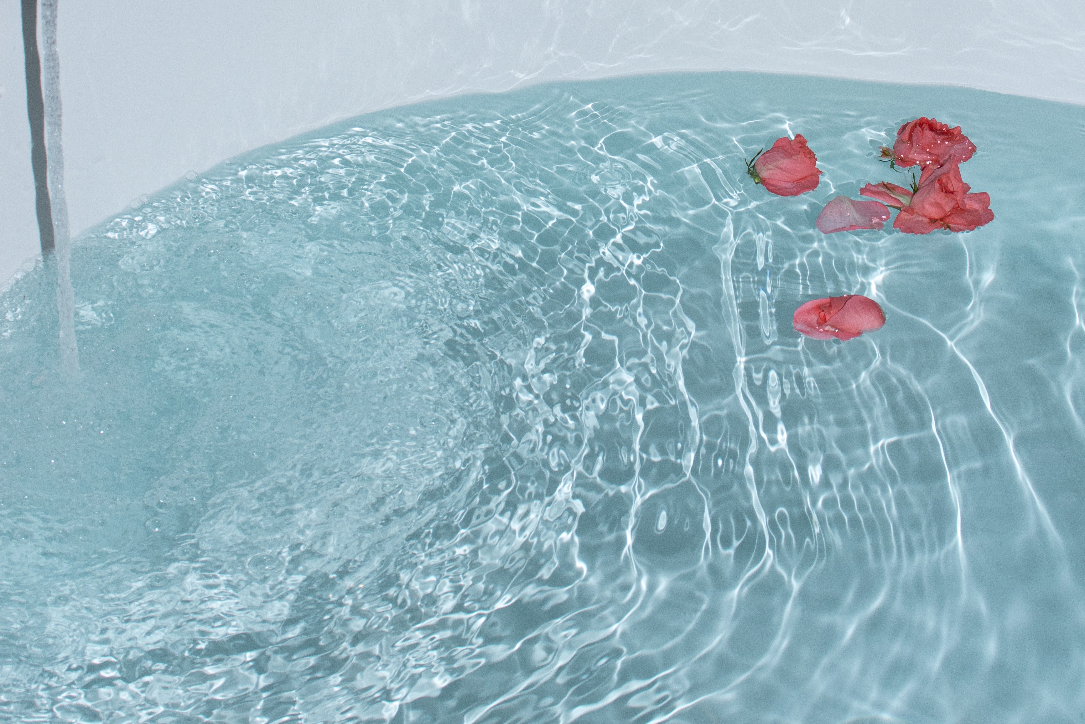 Foto aggiuntiva della camera Gelso