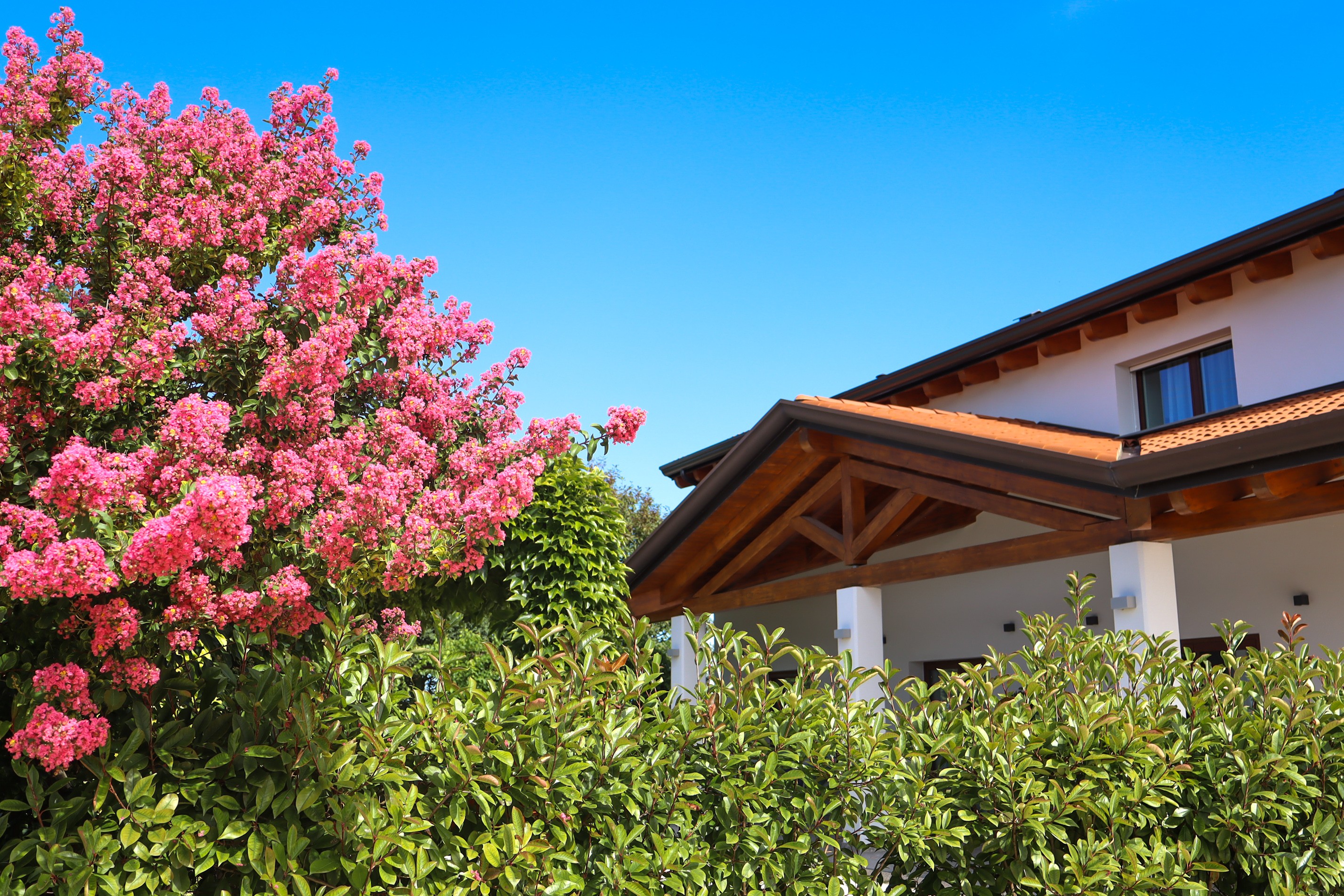 Foto dell'esterno della tenuta