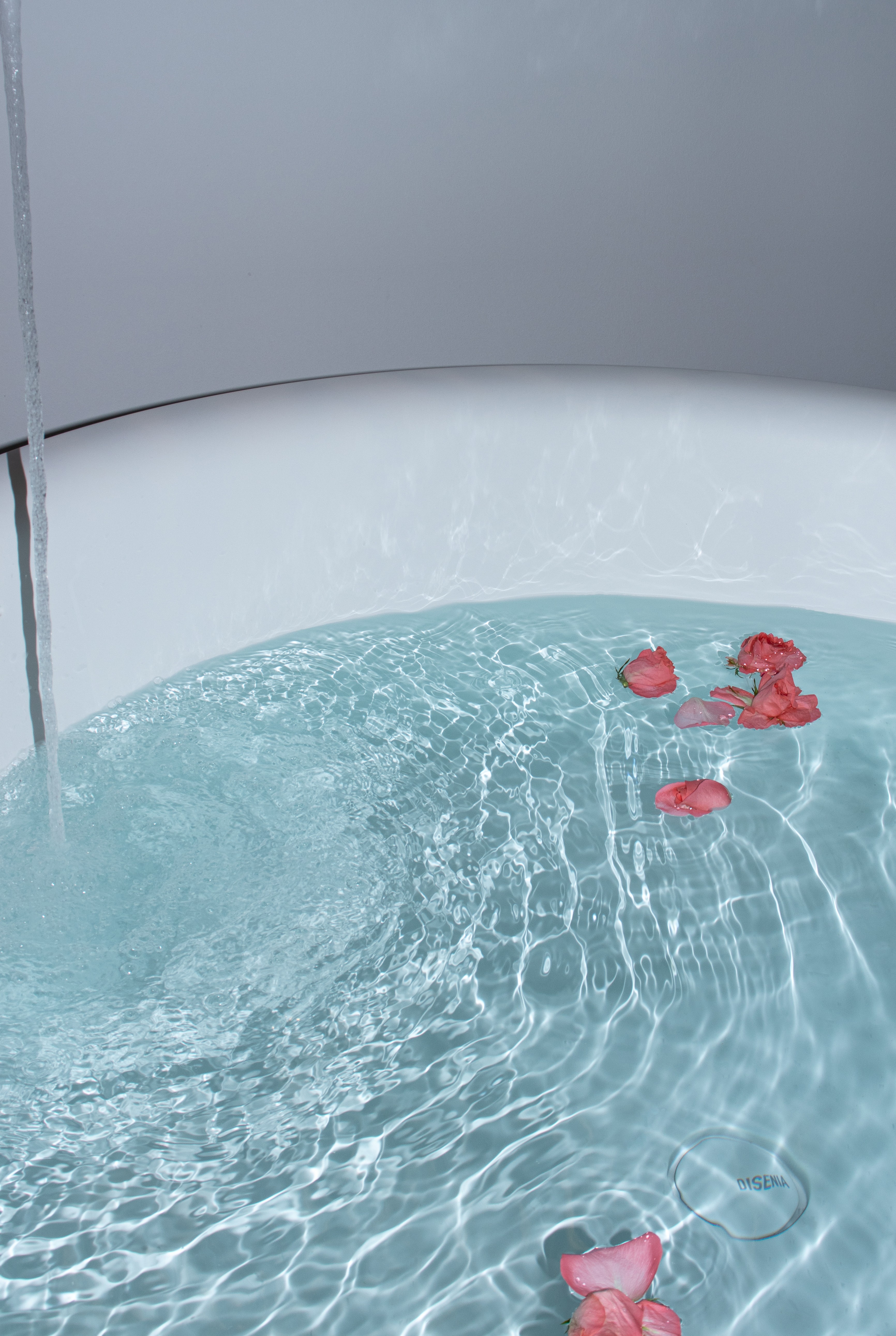 Foto aggiuntiva della camera Gelso