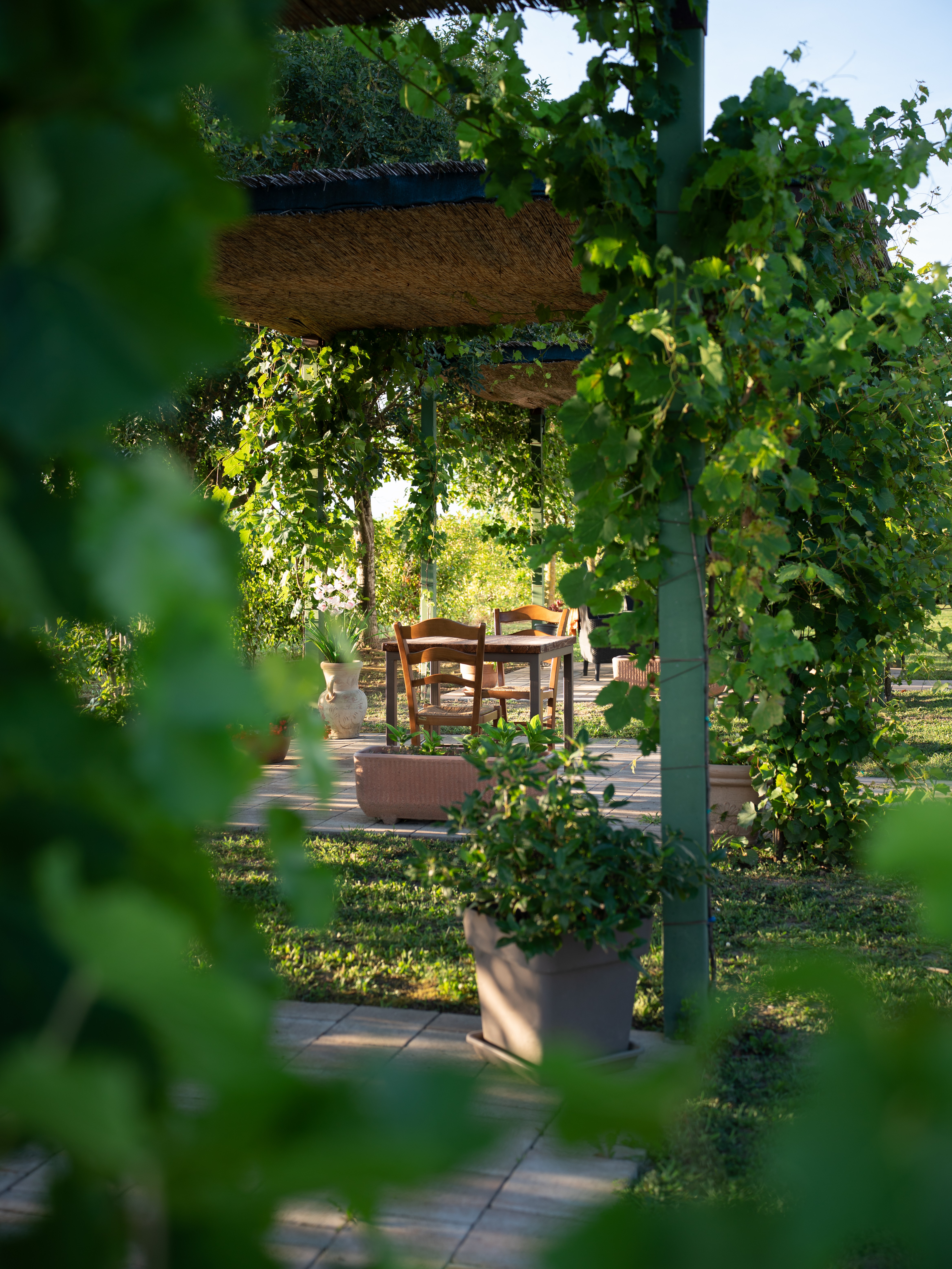 Foto dell'esterno della tenuta