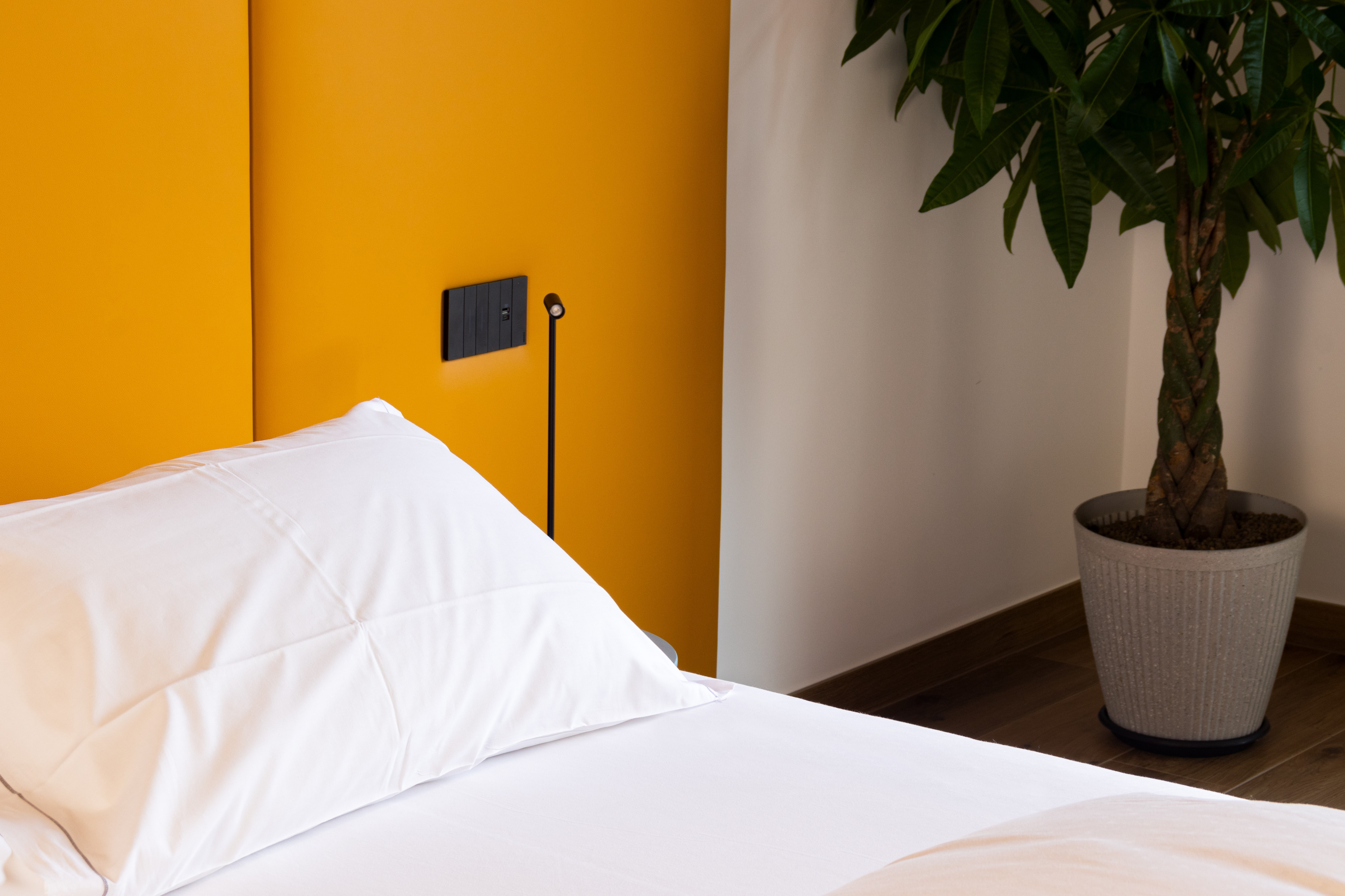 Foto aggiuntiva della camera Rugiada