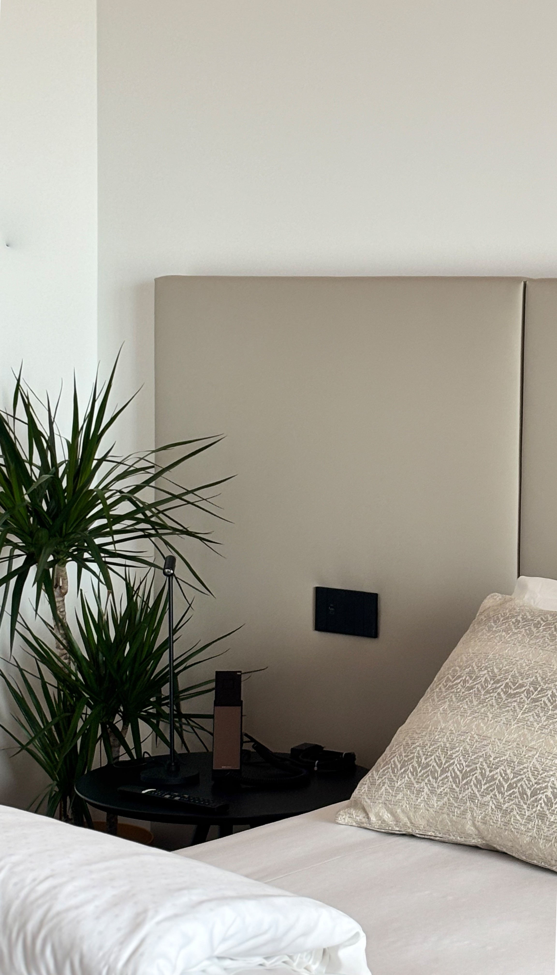 Foto aggiuntiva della camera Gelso