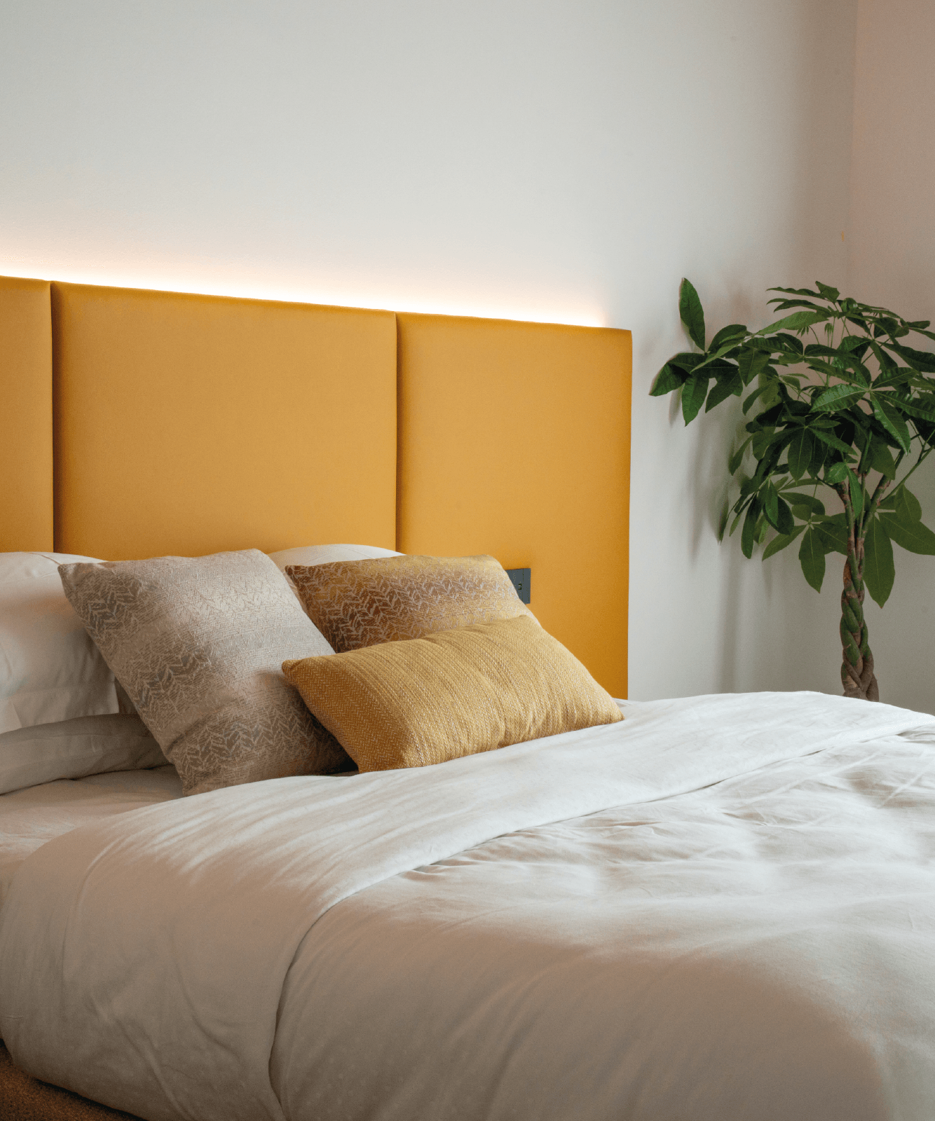 Foto della camera Rugiada