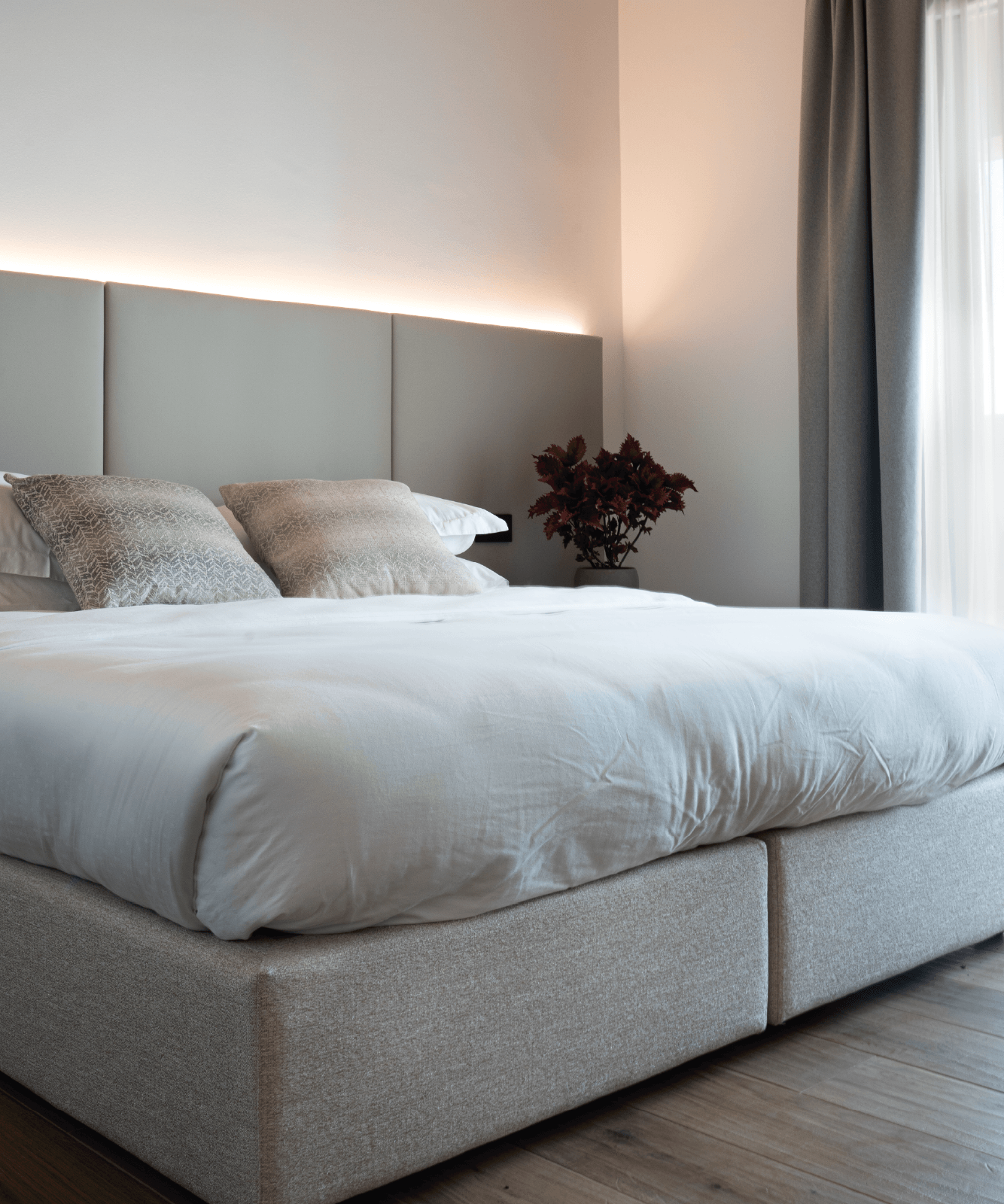 Foto della camera Gelso