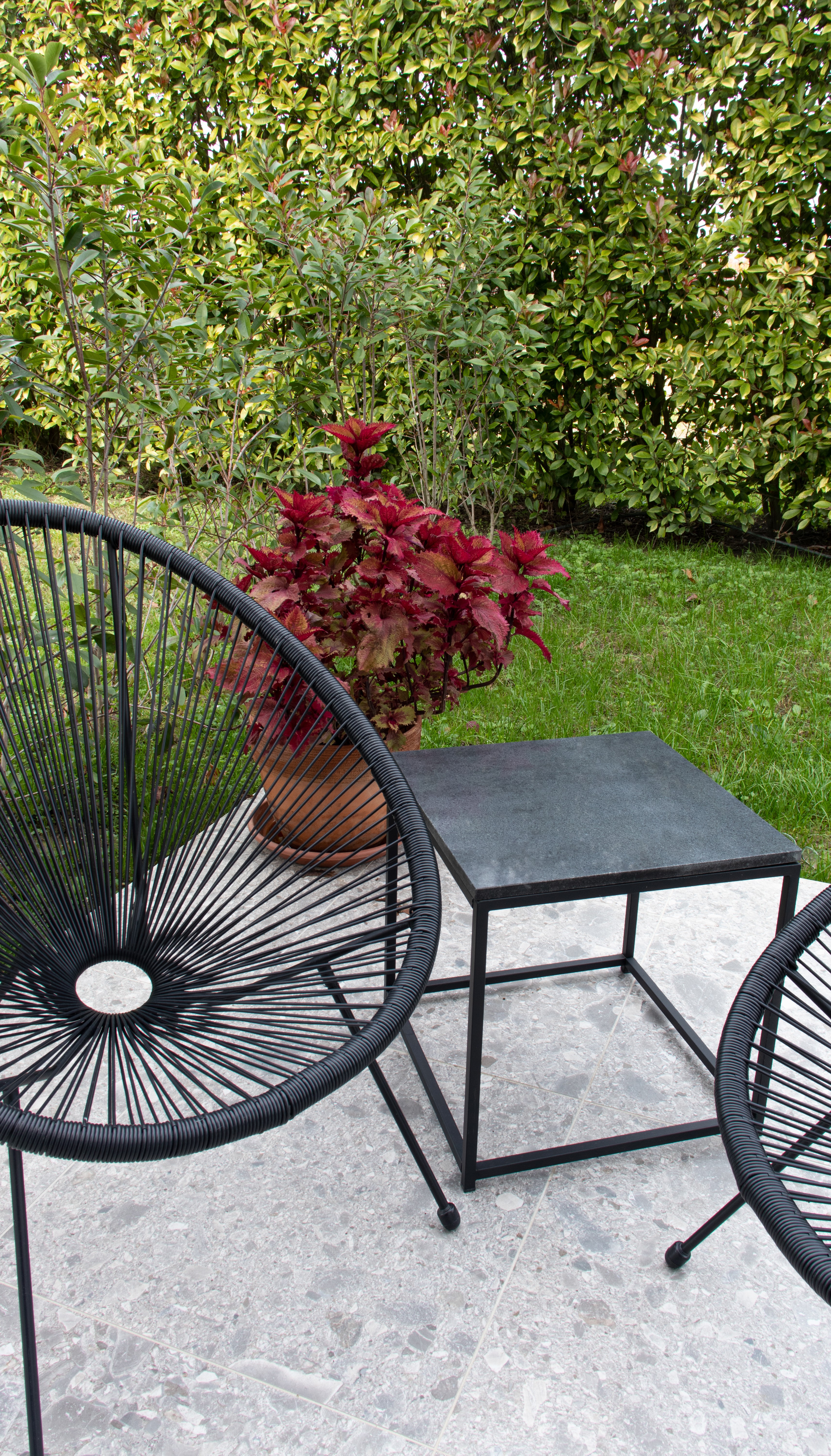 Foto aggiuntiva della camera Rugiada